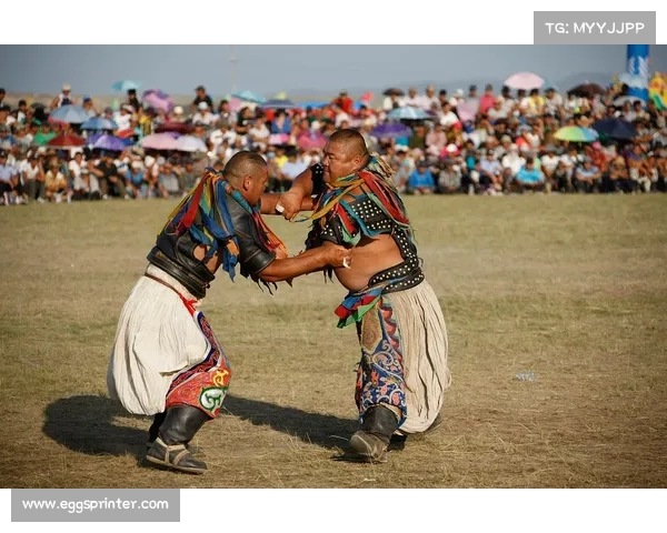 内蒙古骑射文化催生综合格斗新星 摔跤基因助力地域化发展